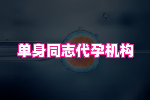 长沙助孕网 4